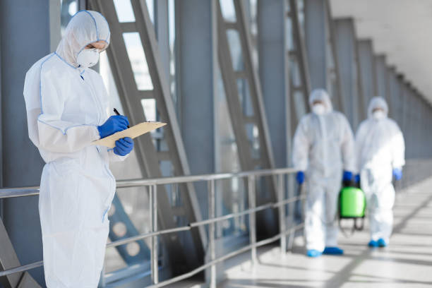 Best Asbestos and Lead Testing During Mold Inspection  in Lyndonville, VT