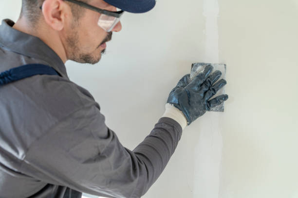 Best Mold Odor Removal Services  in Lyndonville, VT