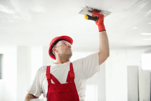 Best Comprehensive Air Testing for Mold Contaminants  in Lyndonville, VT