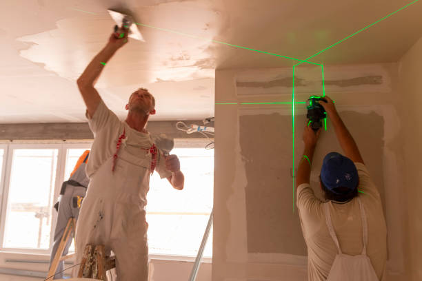 Best Attic Mold Removal  in Lyndonville, VT
