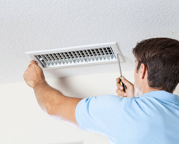 Best Mold Prevention Services  in Lyndonville, VT